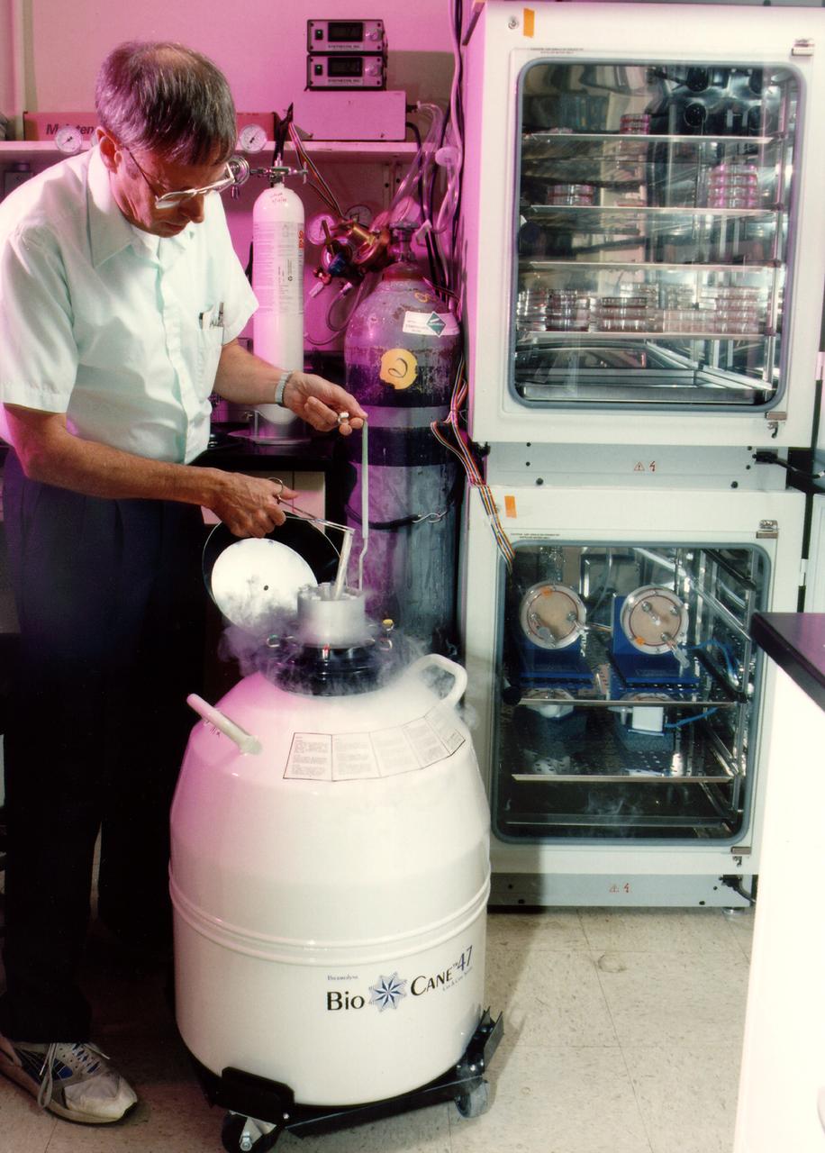 Dr. Robert Richmond extracts breast cell tissue from one of two liquid nitrogen dewars. NASA's Marshall Space Flight Center (MSFC) is sponsoring research with Bioreactors, rotating wall vessels designed to grow tissue samples in space, to understand how breast cancer works. This ground-based work studies the growth and assembly of human mammary epithelial cells (HMEC) from breast cancer susceptible tissue. Radiation can make the cells cancerous, thus allowing better comparisons of healthy vs. tunourous tissues. 