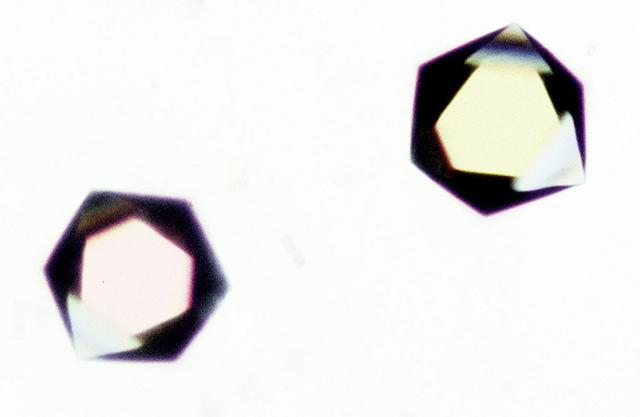 Crystals of Proteinase K complex grown in the VDA-2 (Vapor Diffusion Apparatus) hardware aboard MSL-1. Principal Investigator: Larry DeLucas