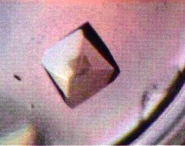 1 mm histone octamer crystal grown on STS-81. A very dynamic structure which functions in many aspects of gene regulation from control of gene activity to the more subtle mechanisms of genetic imprinting. Principle Investigator is Dan Carter of New Century Pharmaceuticals.