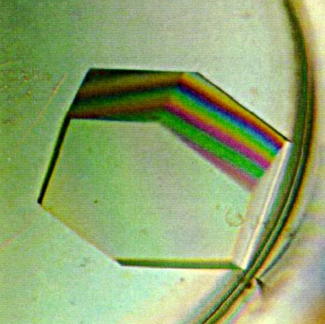 NASA image: Microgravity