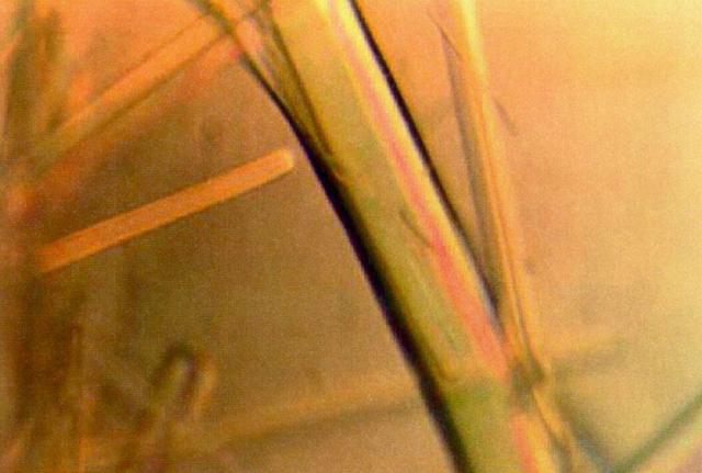 NASA image: Microgravity