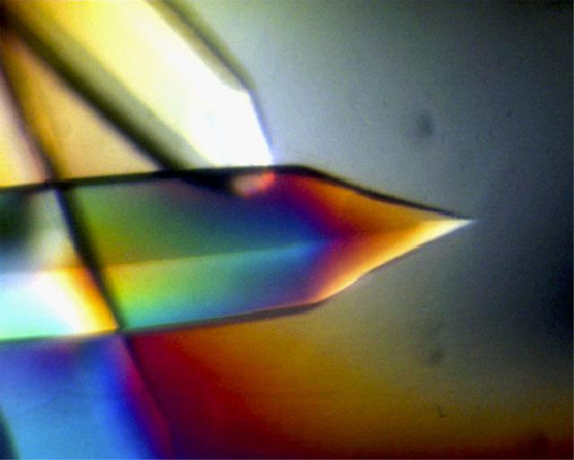 NASA image: Microgravity