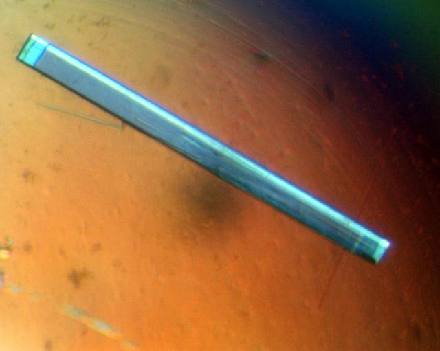 NASA image: Microgravity