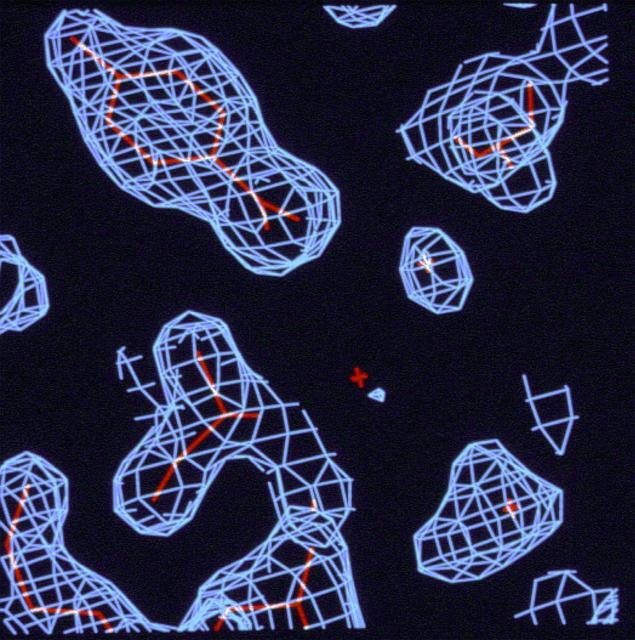 NASA image: Microgravity