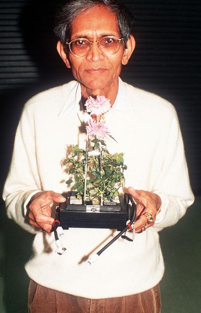 International Flavors and Fragrances Inc., Dr. Braja Mookherjee with the Overnight Scentsation rose plant after its flight aboard NASA's shuttle mission STS-95 for experimentation on scent in microgravity.
