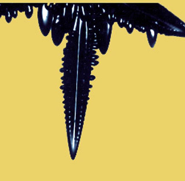 Researchers have found that as melted metals and alloys (combinations of metals) solidify, they can form with different arrangements of atoms, called microstructures. These microstructures depend on the shape of the interface (boundary) between the melted metal and the solid crystal it is forming. There are generally three shapes that the interface can take: planar, or flat; cellular, which looks like the cells of a beehive; and dendritic, which resembles tiny fir trees. Convection at this interface can affect the interface shape and hide the other phenomena (physical events). To reduce the effects of convection, researchers conduct experiments that examine and control conditions at the interface in microgravity. Microgravity also helps in the study of alloys composed of two metals that do not mix. On Earth, the liquid mixtures of these alloys settle into different layers due to gravity. In microgravity, the liquid metals do not settle, and a solid more uniform mixture of both metals can be formed.