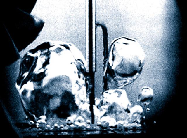 Fluid Physics is study of the motion of fluids and the effects of such motion. When a liquid is heated from the bottom to the boiling point in Earth's microgravity, small bubbles of heated gas form near the bottom of the container and are carried to the top of the liquid by gravity-driven convective flows. In the same setup in microgravity, the lack of convection and buoyancy allows the heated gas bubbles to grow larger and remain attached to the container's bottom for a significantly longer period.