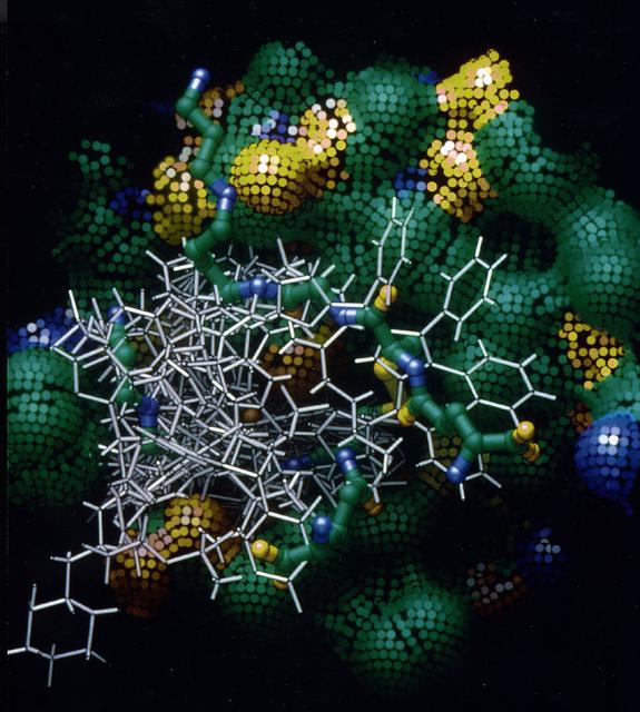 A computer model for the protein crystal trypanathione reductase, which is being studied in an effort to devise a treatment for Chaga's disease, a devastation illness caused by a parasite.