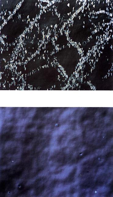 Samples of zinc-alloyed cadmium mercury grown on Earth (1g) and in space (ug) are shown at the same magnification. The space-grown crystal has a more uniform microstructure. Flown on STS-50 USML-1.