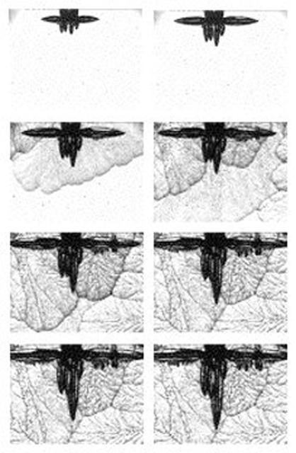 This series of images, captured during the mission, shows the growth of a dendrite in the IDGE. Flown on STS-84 USMP-4.