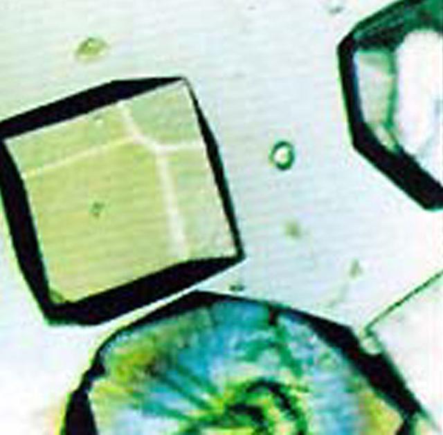 NASA image: Microgravity