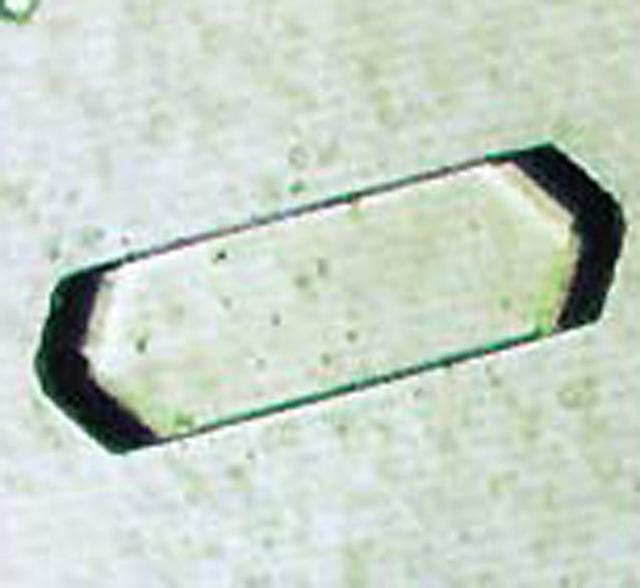 This virus is the Spherical T=1 icosahedral satellite virus of classical rod virus TMV, and is a plant pathogen. Important in the study of virus structure, RNA structure and virus assembly.