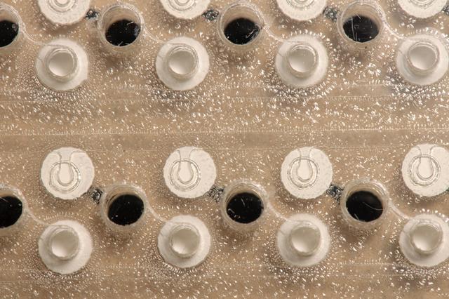 NASA image: EuCropis Power Cells Fluidic Cards