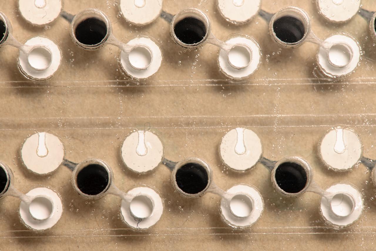 EuCropis Power Cells built by A-Line showing clearer manufacturing