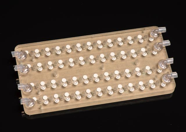 NASA image: EuCropis Power Cells Fluidic Cards