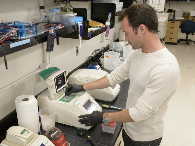 NASA image: EuCROPIS EVT-2 Power Cell in N-239 Lab