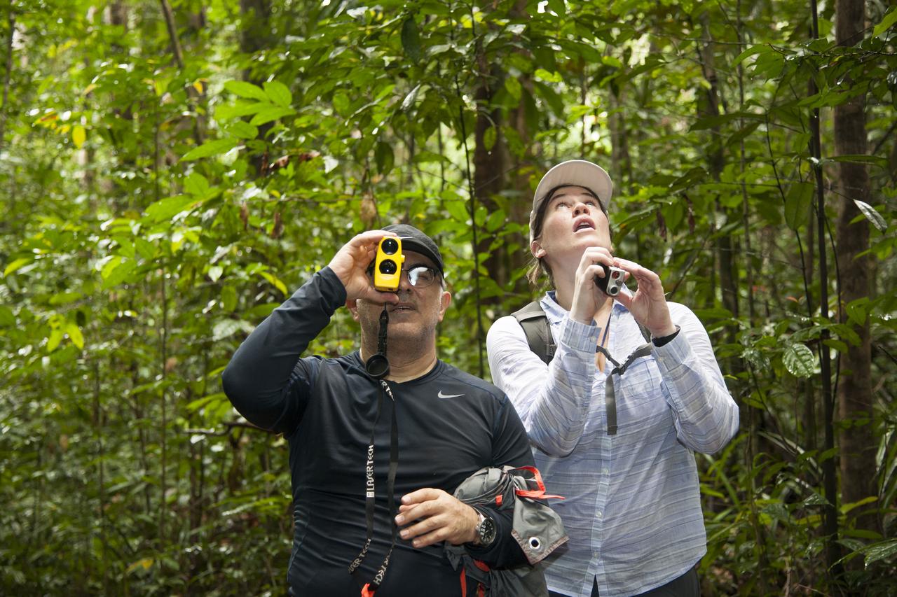 AfriSAR team members Sassan Saatchi (left) from NASAâ€™s Jet Propulsion Laboratory and Laura Duncanson from NASAâ€™s Goddard Space Flight Center take measurements of trees in the rainforest in the Mondah National Park, Gabon, Africa.