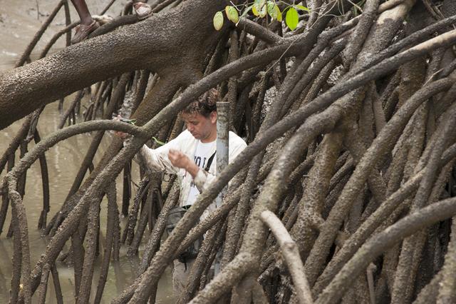 NASA image: AfriSAR 2016