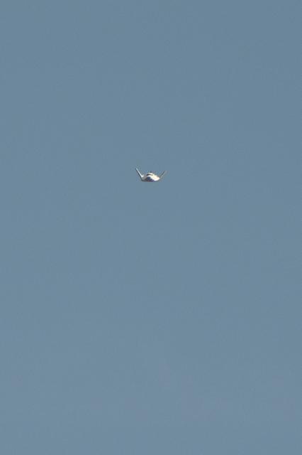 NASA image: Dream Chaser ALT-2 Free Flight