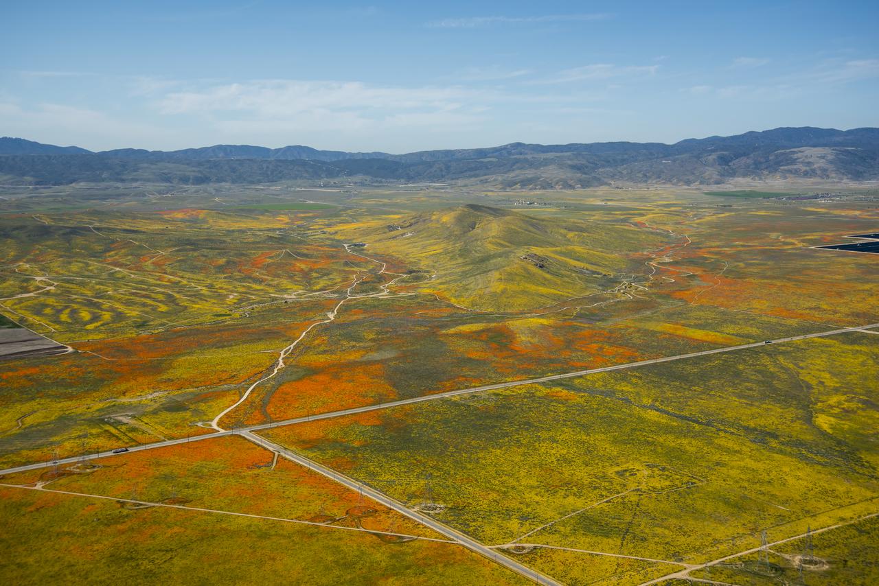 Image from a NASA aircraft, TG-14, over the Superbloom of wildflowers and poppies from the Antelope Valley in Southern California