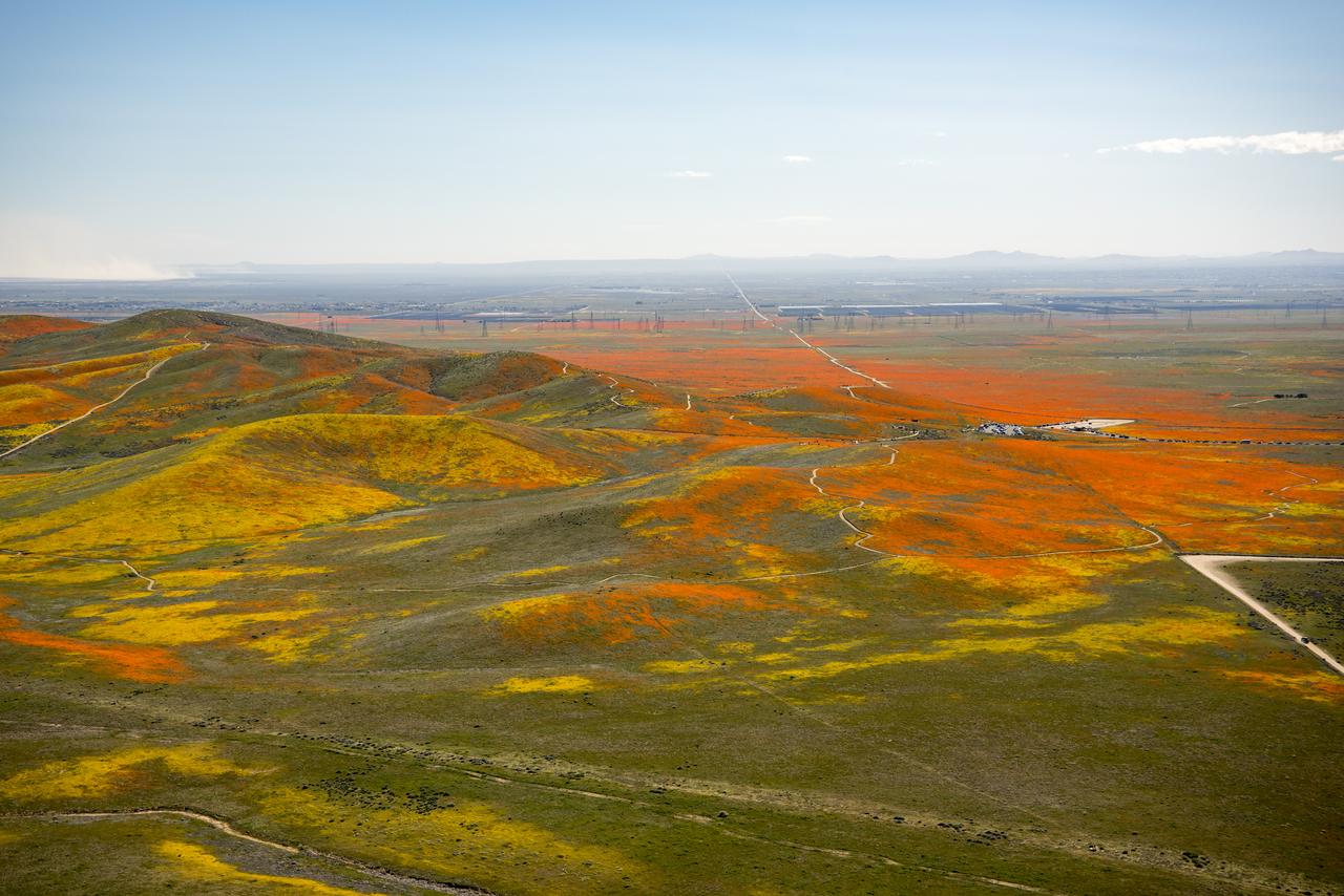 View from a NASA aircraft, TG-14, over the Superbloom of wildflowers and poppies from the Antelope Valley in Southern California, Poppy Reserve and solar panels are in the background.