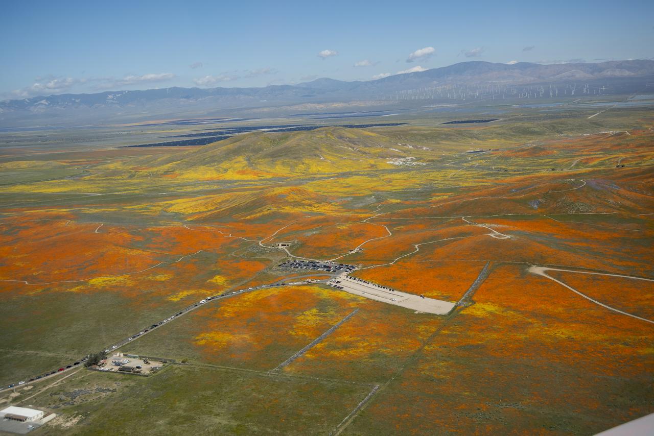 View from a NASA aircraft, TG-14, over the Superbloom of wildflowers and poppies from the Antelope Valley in Southern California. The Poppy Reserve is in the foreground and solar panels are in the background. 