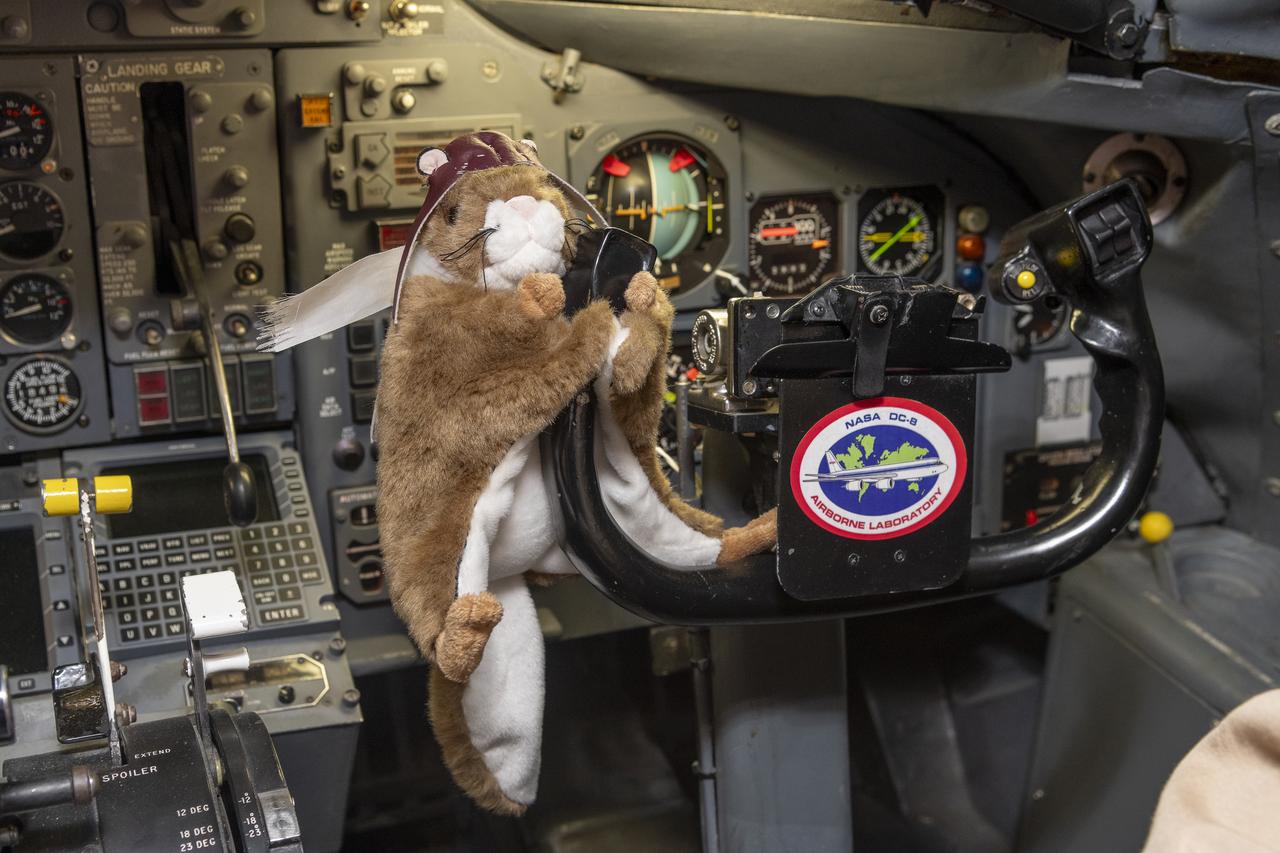 Orville, NASA’s high-flying squirrel, tries his paw at piloting the DC-8 aircraft at NASA’s Armstrong Flight Research Center Building 703 in Palmdale, California. On May 2, 2024, NASA personnel, friends, and family celebrated the DC-8 staff, aircraft, and science campaigns.