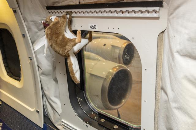 NASA image: NASA Armstrong Event Celebrates NASA DC-8 Aircraft