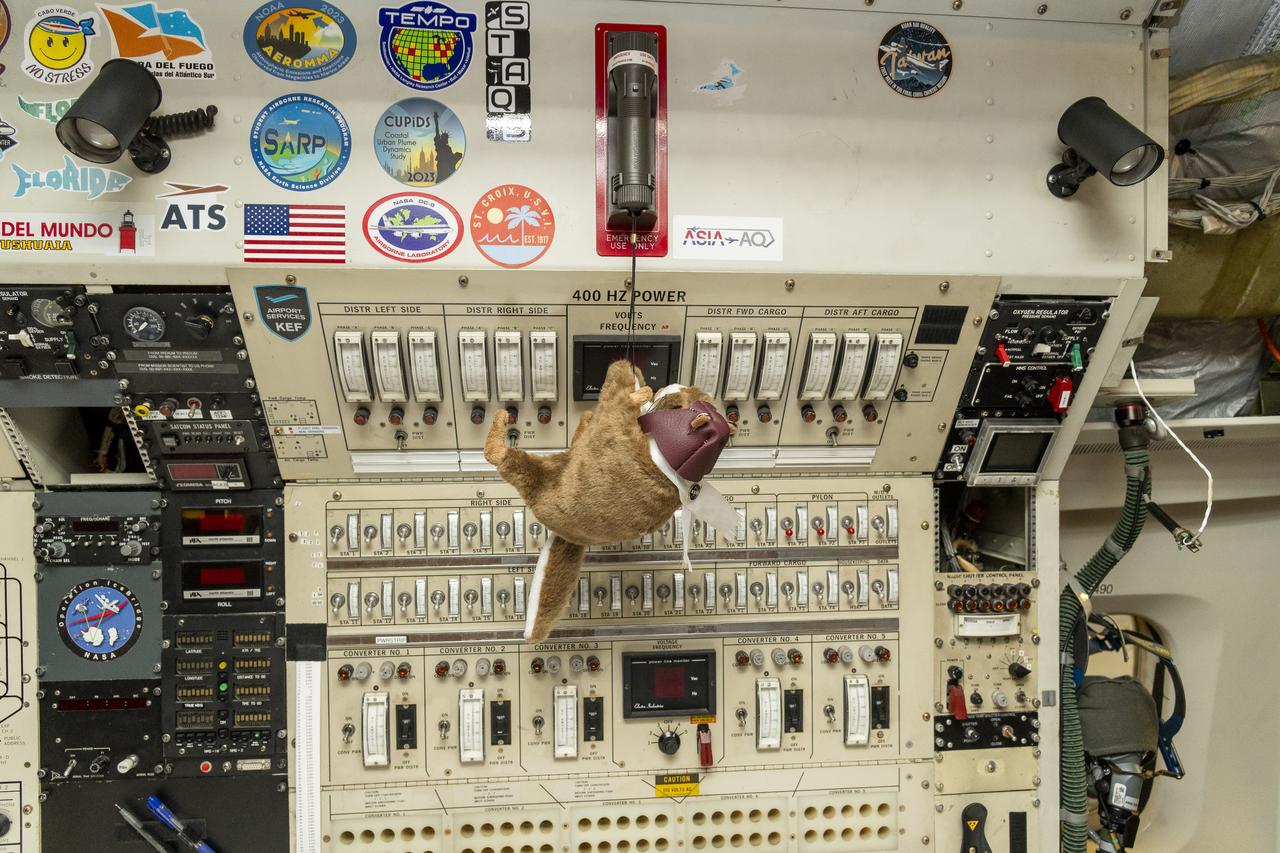 Orville, NASA’s high-flying squirrel, finds mischief onboard the DC-8 aircraft at NASA’s Armstrong Flight Research Center Building 703 in Palmdale, California. On May 2, 2024, NASA personnel, friends, and family celebrated the DC-8 staff, aircraft, and science campaigns.