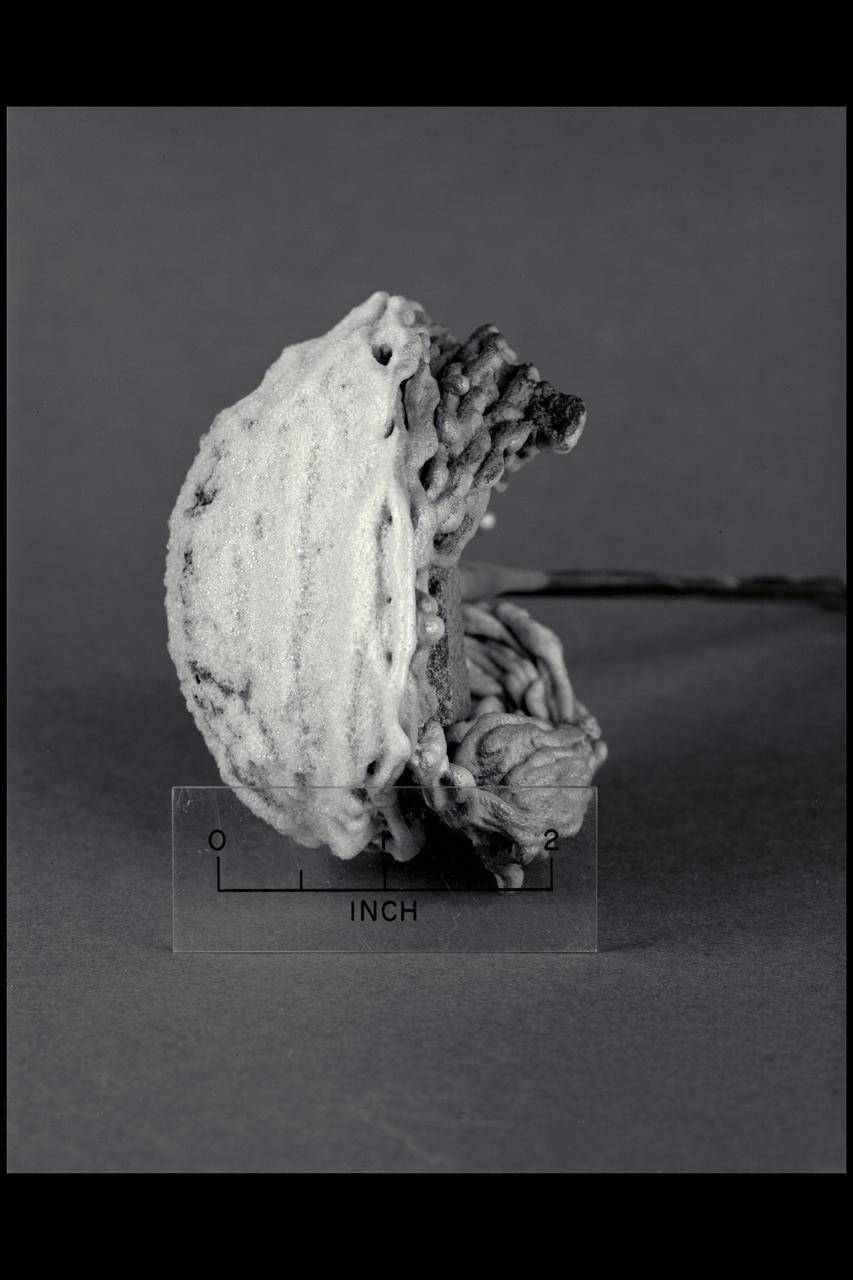 stream instrumentation; planetary gas wind tunnel ablation rock