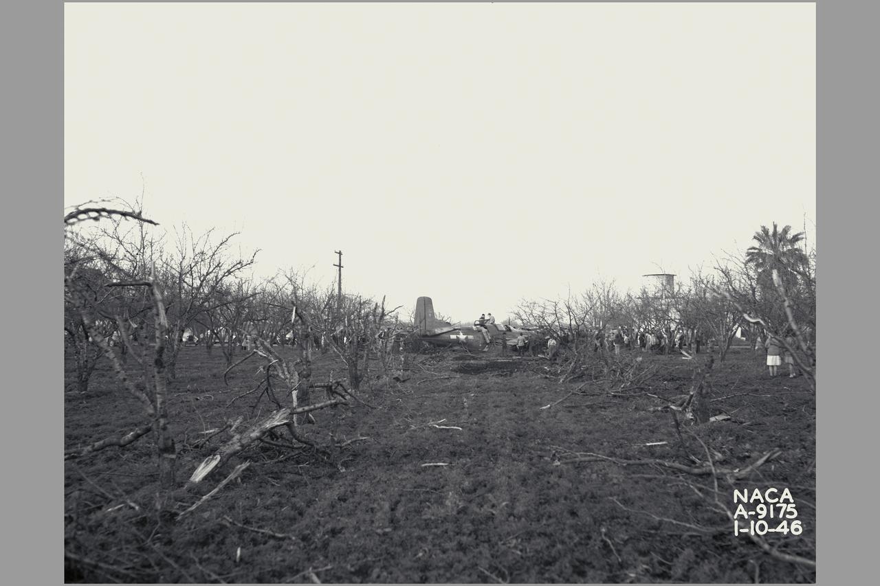 Crash of Douglas XSB2D-1 (Bu. No. 03552) airplane in a Sunnyvale , CA prune orchard caused by engine failure. Note the spectator crawling into the rear cockpit to remove the clock . Note: Used in publication Flight Research at Ames; 57 Years of Development and Validation of Aeronautical Technology NASA SP-1998-3300 fig.19