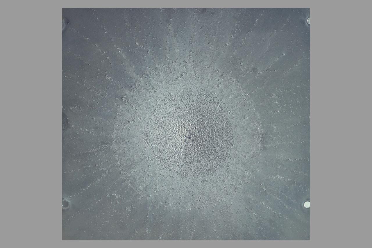 HFF (Hypervelocity Free-Flight) N-237 Impact Studies (For JSC)