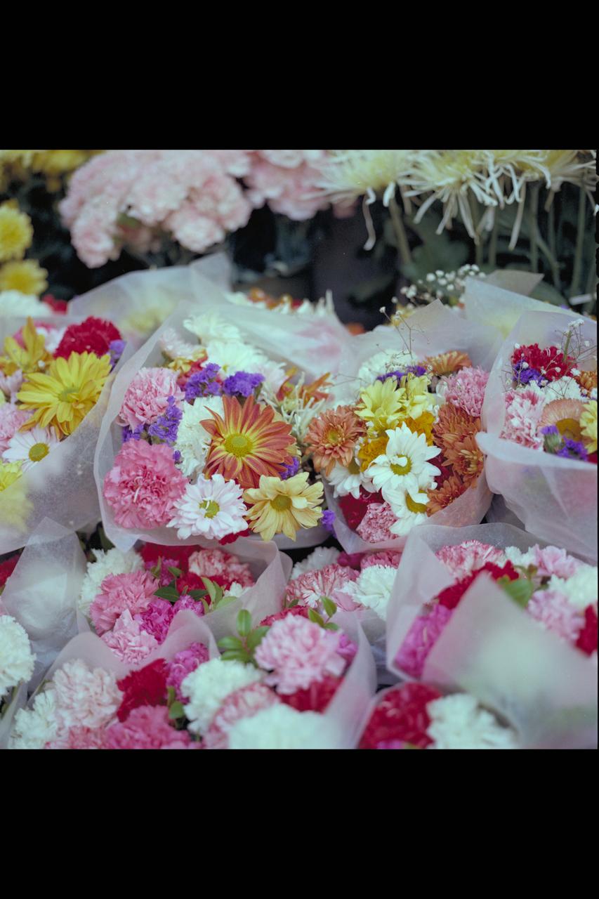 Recruiting Brochure: Flower