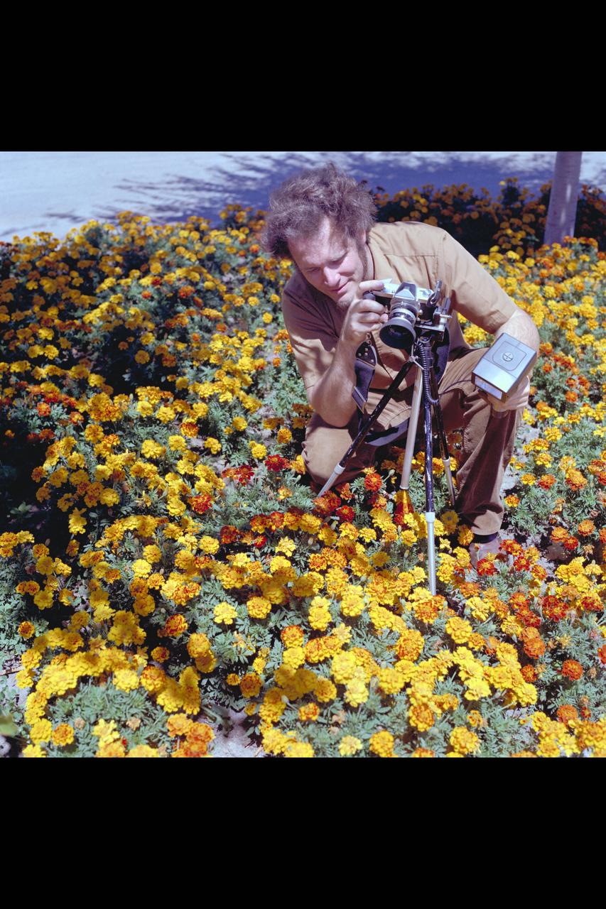 Recruiting Brochure: Ames employee and amateur photographer John Wallace uses base flower gardens as subject of his interest.