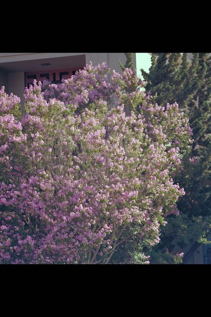 ARC-1979-AC79-0666-64