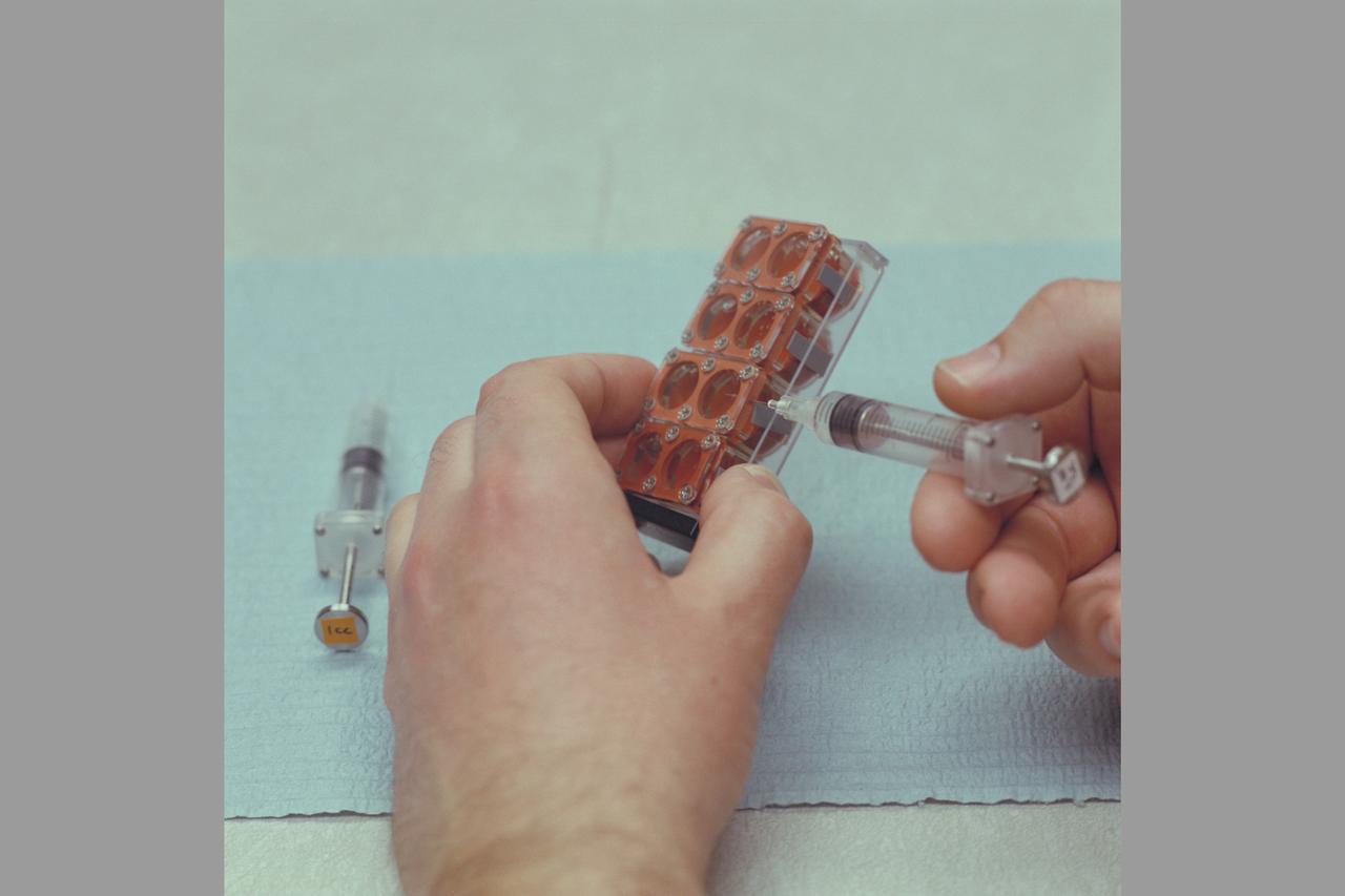 Europa , the smallest of the Galilean satellites, or Moons , of Jupiter ,  is seen here as taken by Voyager 1.  Range : 2 million km (1.2 million miles) is centered at about the 300 degree Meridian.  The bright areas are probably ice deposits, while the dark may be rocky surface or areas of more patchy ice distribution.  Most unusual features are systems of linear structures crossing the surface in various directions. Of these, some of which are over 1000 km. long , & 2 or 3 hundred km. wide,  may be faults which have disrupted the surface.