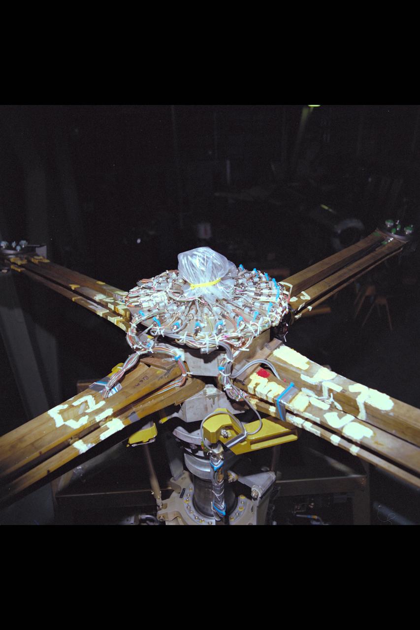 Bearingless Main Rotor