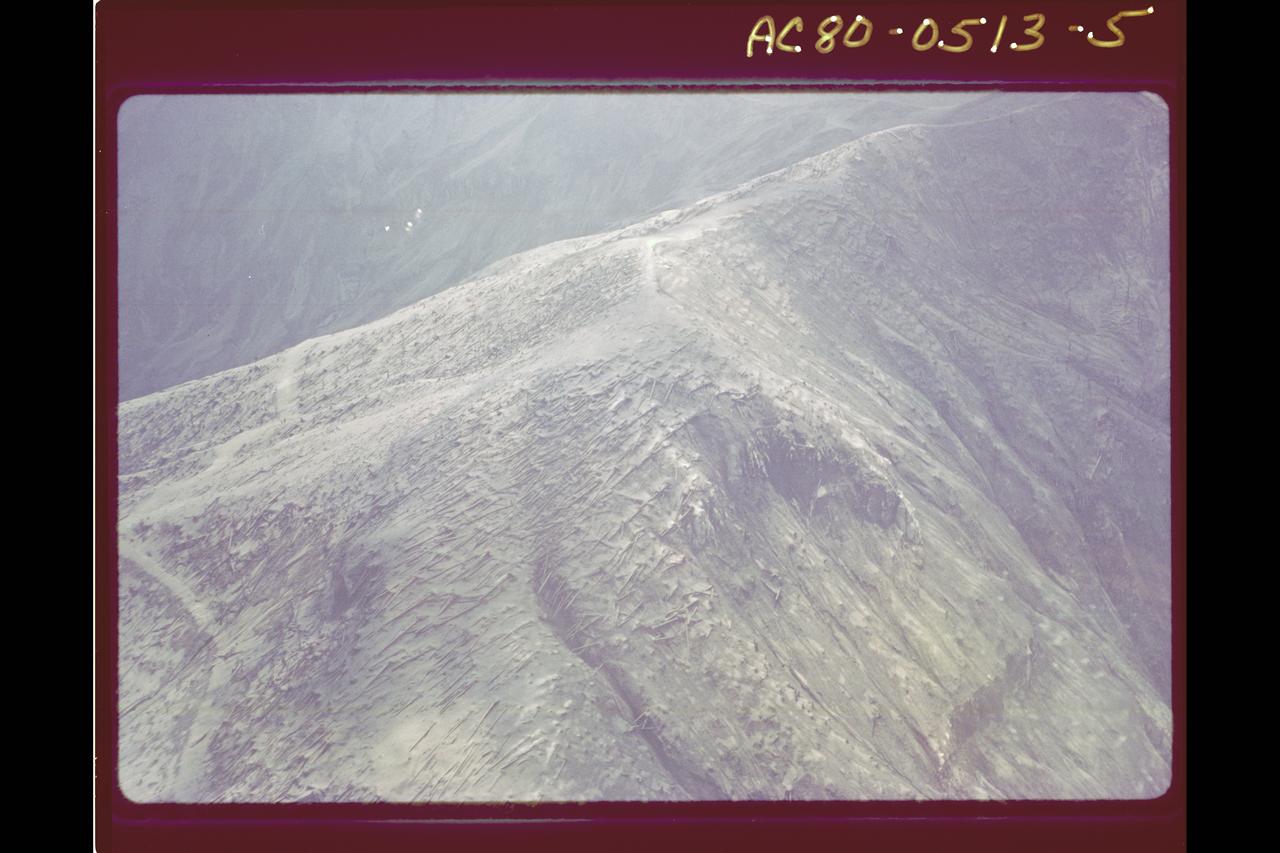 Mt. St. Helens Volcano - post eruption, forest damage