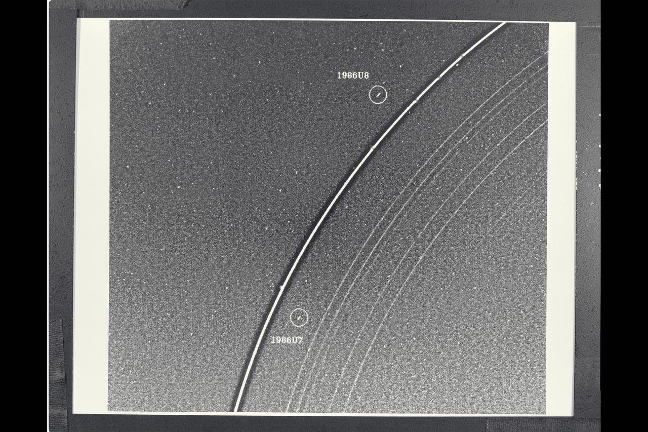 Range :  4.1 million km. ( 2.5 million miles ) P-29466B/W Voyager 2 has discovered  two 'shepard' satellites associated with the rings of Uranus. The two moons, designated 1986U7 and 1986U8, are seen here on either side of the bright Epsilon Ring. All nine of the known Uranian rings are visible here. The image was proccessed to enhance narrow features. The Epsilon Ring appears surrounded by a dark halo as a result of this proccessing. Occasional blips seen on the ring are also artifacts. Lying inward from the Epsilon Ring are the Delta, Gamma, and Eta Rings; then the Beta abd Alpha Rings; and finally, the barely visible 4, 5, and 6 Rings. The rings have been studied since their discovery in 1977, through observations of how they diminish the light of stars they pass in front of. This image is the first direct observationn of all nine rings in reflected sunlight. They range in width from about 100 km. (60 mi.) at the widest part of the Epsilon Ring to only a few kilometers  for most of the others. The discovery of the two ring moons 1986U7 and 1986U8 is a major advance in our understanding of the structure of the Uranian rings and is in good agreement with theoretical predictions of how these narrow rings are kept from spreading out. Based on likely surface brightness properties, the moons are of roughly 20 and 30 km. diameter, respectively.