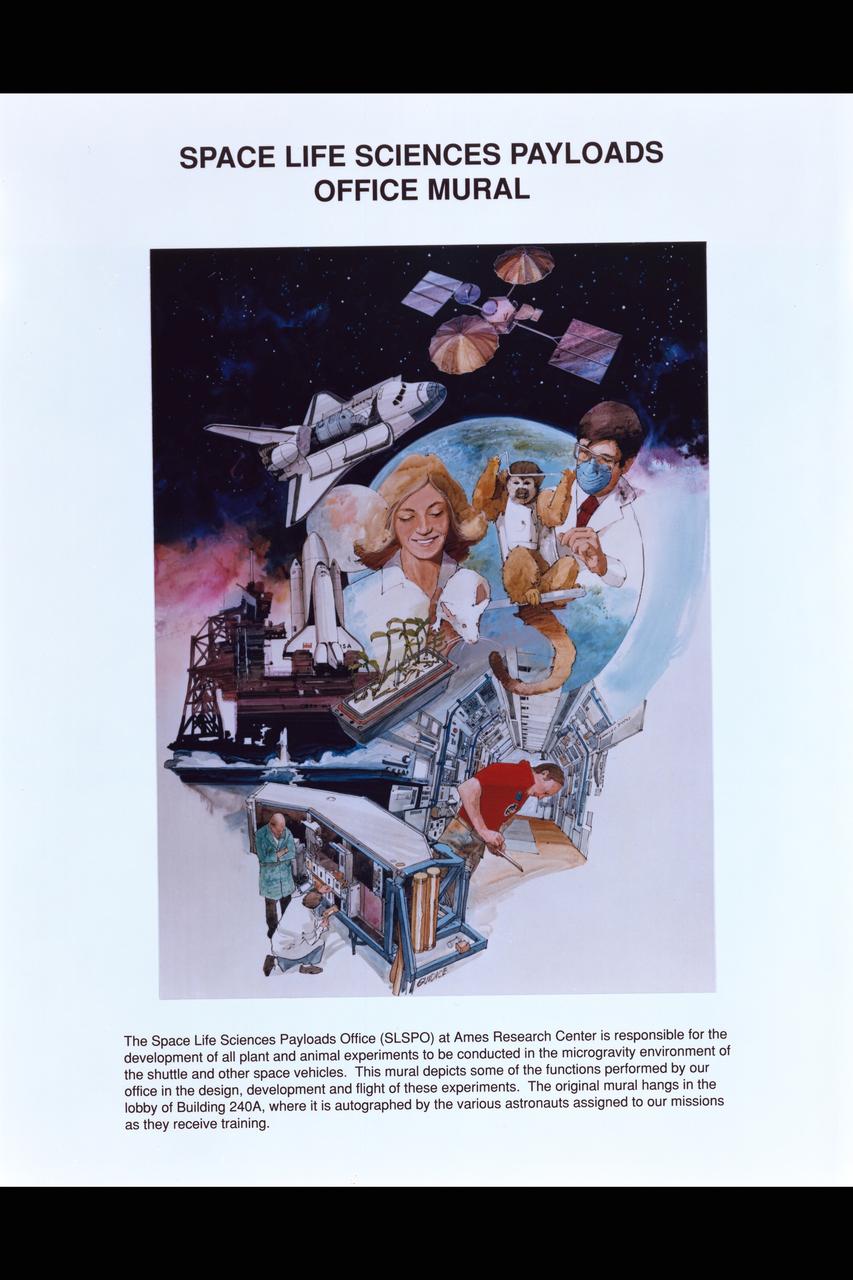 Original Art by Artist: Rick Guidice Space Life Sciences Payloads Office (SLSPO) office manual cover with mission statement. This mural (original in lobby of N-240A) depicts some of the functions performed by our office in the design, development and flight of these experiments.