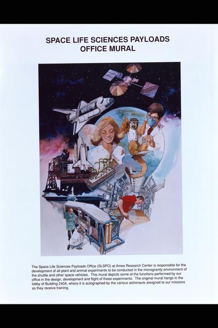 NASA image: ARC-1983-AC83-0645