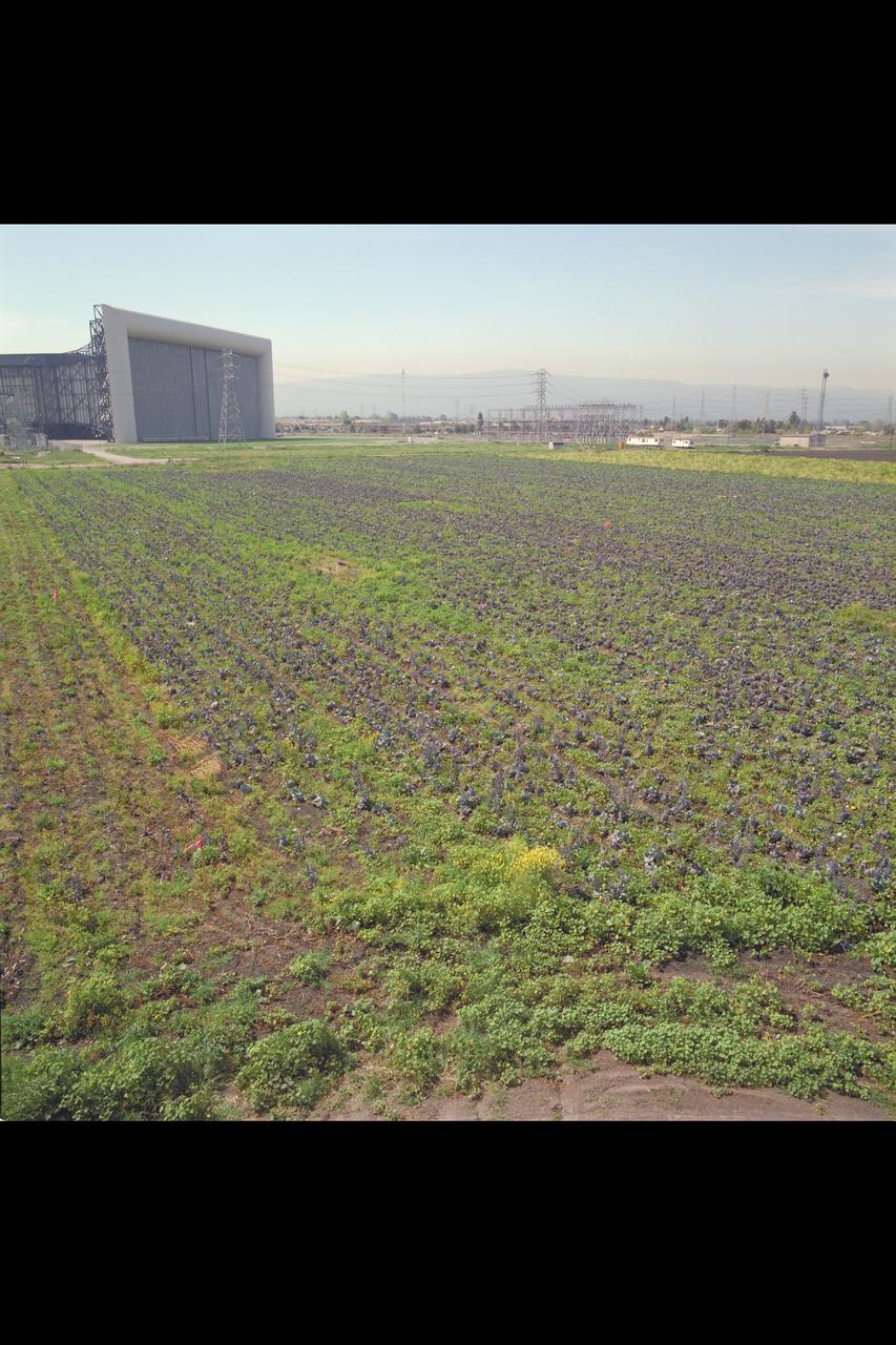 N-258 NAS (Numerical Aerodynamic Simulation) Facility:  Construction