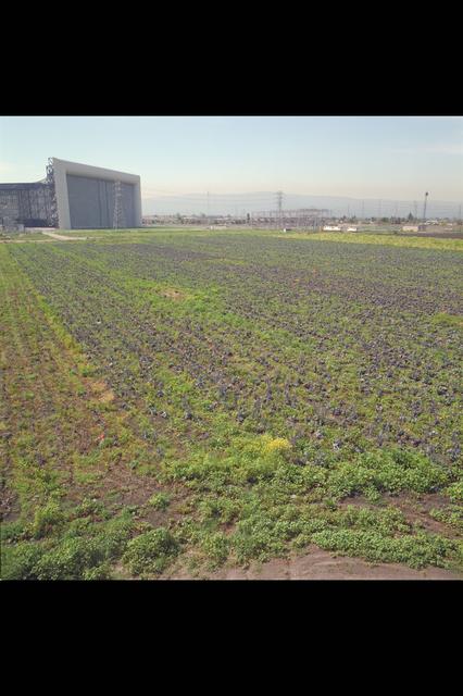 NASA image: ARC-1985-AC85-5000-3