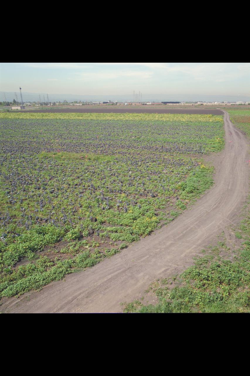 N-258 NAS (Numerical Aerodynamic Simulation) Facility:  Construction