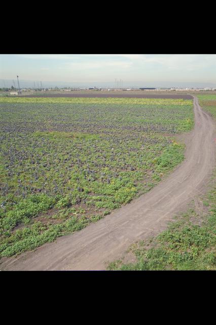 NASA image: ARC-1985-AC85-5000-4