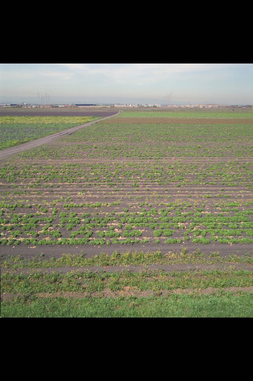 N-258 NAS (Numerical Aerodynamic Simulation) Facility:  Construction