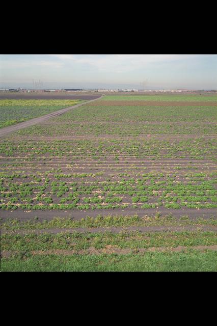 NASA image: ARC-1985-AC85-5000-5