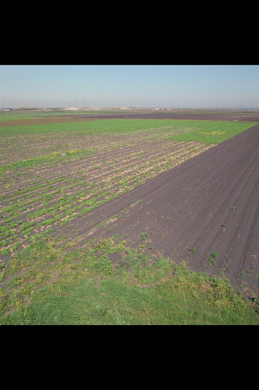 N-258 NAS (Numerical Aerodynamic Simulation) Facility:  Construction