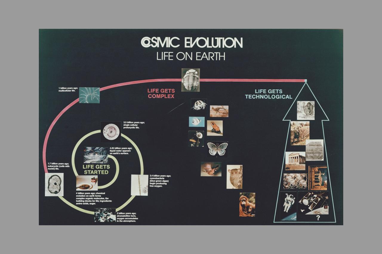 Cosmic Evolution. Setting the stage.  Life on Earth (contains some copyrighten material - no for general release)