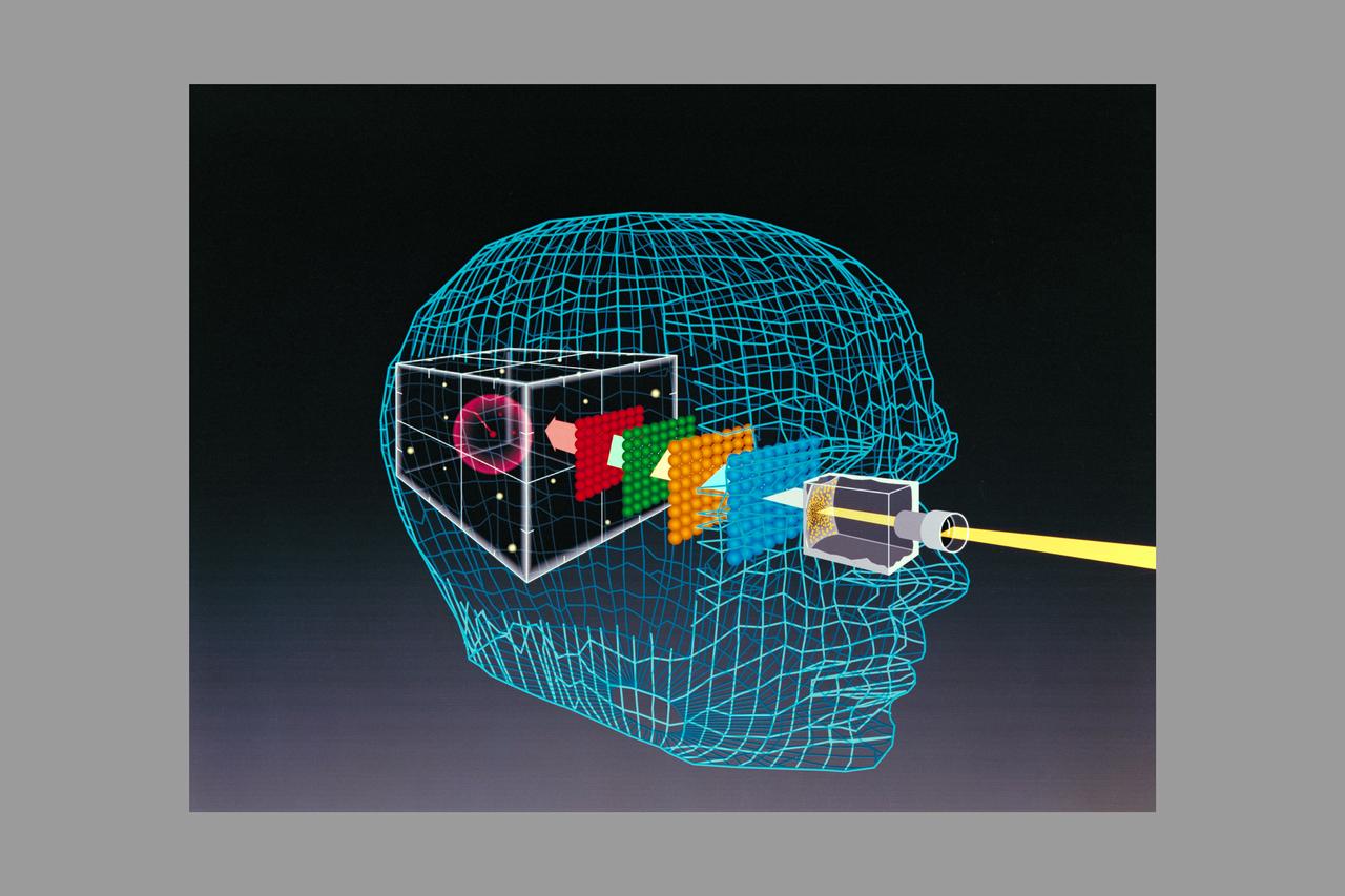 Autonomous Perception Vision project - Intelligent Systems - head